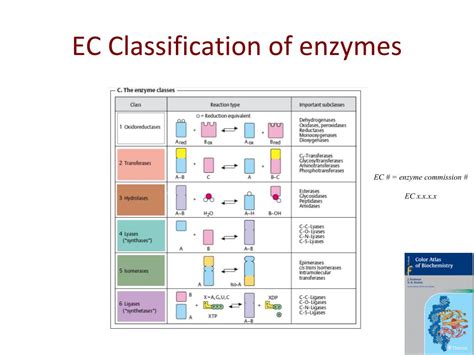 EC Classifications .